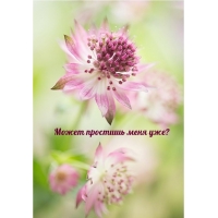 Может простишь меня уже?