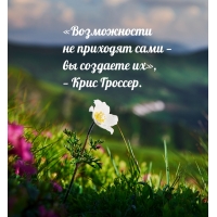 Возможности не приходят сами —  вы создаете их
