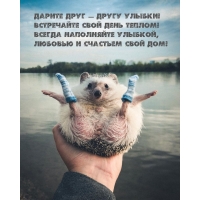 Дарите друг — другу улыбки! Встречайте свой день теплом!