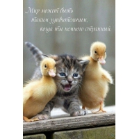 Мир может быть таким удивительным, когда ты немного странный.
