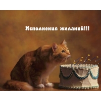 Исполнения желаний!