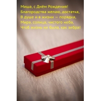 Миша, с Днём Рождения! Благородства желаю, достатка