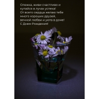 Олежка, живи счастливо и купайся в лучах успеха! С Днем Рождения!