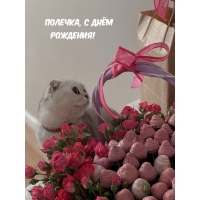 Полечка, с днём рождения!