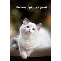 Женечка, с днём рождения!