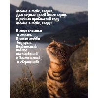 Желаю я тебе, Егорка, для разных целей денег горку.