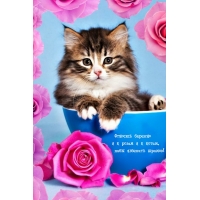 Относись бережно и к розам и к котам, дабы избежать шрамов!