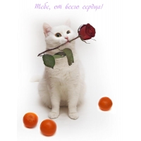 Тебе, от всего сердца!