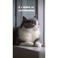 Я с тобой не разговариваю.