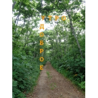 Утро доброе