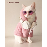 к прогулке готова