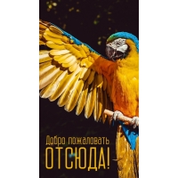 Добро пожаловать ОТСЮДА!