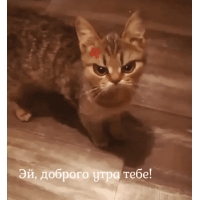 Эй, доброго утра тебе!