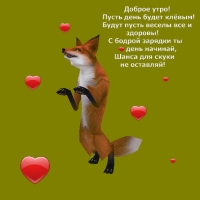 Доброе утро! Пусть день будет клёвым!