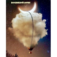 Волшебной ночи!