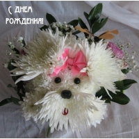 С днем рождения!