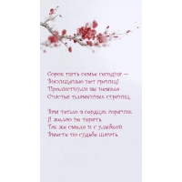 Сорок пять семье сегодня — Восхищенью нет границ!