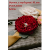 Дорогие, с годовщиной! 45 лет Счастливого Брака!