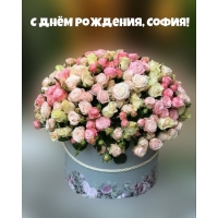 С Днём Рождения, София!