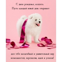 С днем рожденья, коллега. Пусть каждый новый день открывает