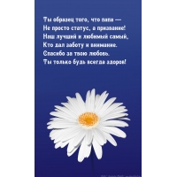 Ты образец того, что папа — Не просто статус, а призвание!