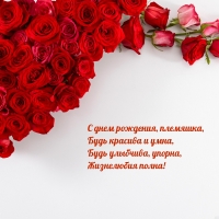 С днем рождения, племяшка, будь красива и умна