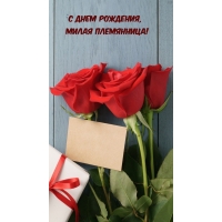 С днем рождения, милая племянница!