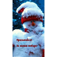 Просыпайся! За окном январь!