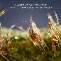 С днем рождения Миля! Пусть с тобой будет ангел всегда!