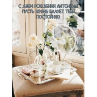 С днем рождения Антонина! Пусть жизнь балует тебя постоянно