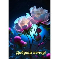 Добрый вечер!