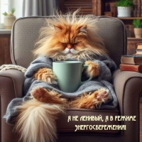 Я не ленивый, Я в режиме Энергосбережения!