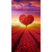 Любовь это все и это все что мы знаем о ней!