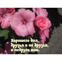 Хорошего дня, друзья и не друзья, и недруги мои.