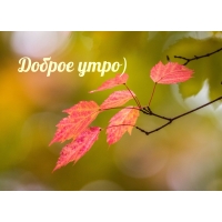 Доброе утро)
